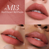 New Jelly Blending Brush Tortoise Shell Fluffy Matte Lip Gloss